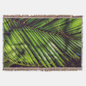 Palmfront, Kiefernnägel und Schatten wirbellose Ke Decke (Vorderseite)