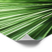 Palmfront, nah poster (Ecke)