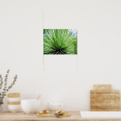 Palmfront, nah poster (Küche)