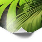 Palmfronten im Sonnenlicht, tropische Landschaft Fotodruck (Ecke)
