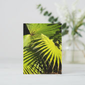Palmfronten Postkarte (Stehend Vorderseite)