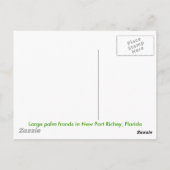 Palmfronten Postkarte (Rückseite)