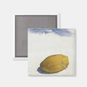 Palmfrucht Magnet (Vorderseite/Rückseite)