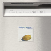 Palmfrucht Magnet (In Situ (Geschirrspüler))