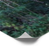 Palmfrucht Poster (Ecke)