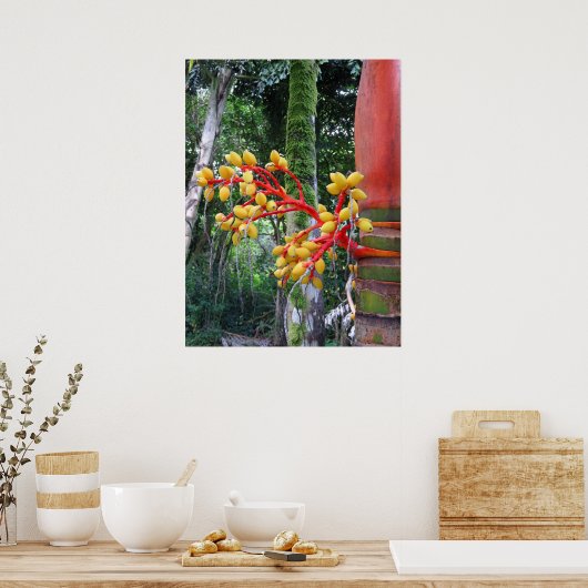 Palmfrucht Poster (Küche)