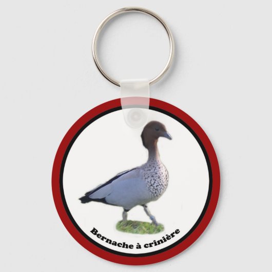 Palmipedes kolletor (Kammbarsche Schlüsselanhänger (Vorderseite)