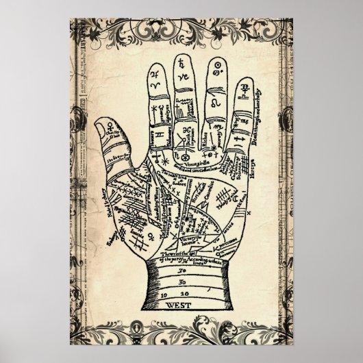 Palmistry Fortune Teller Hand Poster Print (Vorne)