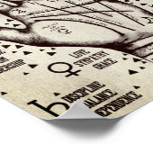 Palmitie Poster (Ecke)