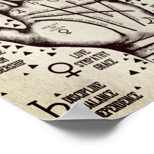 Palmitie Poster (Ecke)