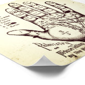 Palmitie Poster (Ecke)