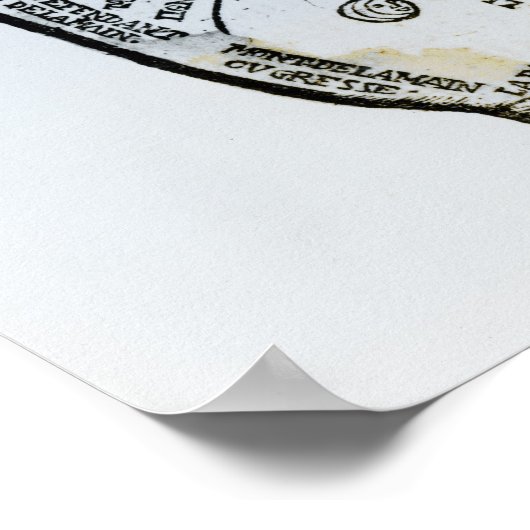 Palmitie Poster (Ecke)