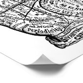 Palmitie Poster (Ecke)