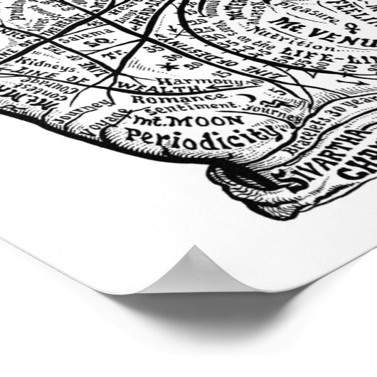 Palmitie Poster (Ecke)