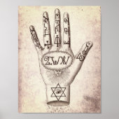 Palmitie Poster (Vorne)