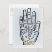 Palmitie Postkarte (Vorne/Hinten)