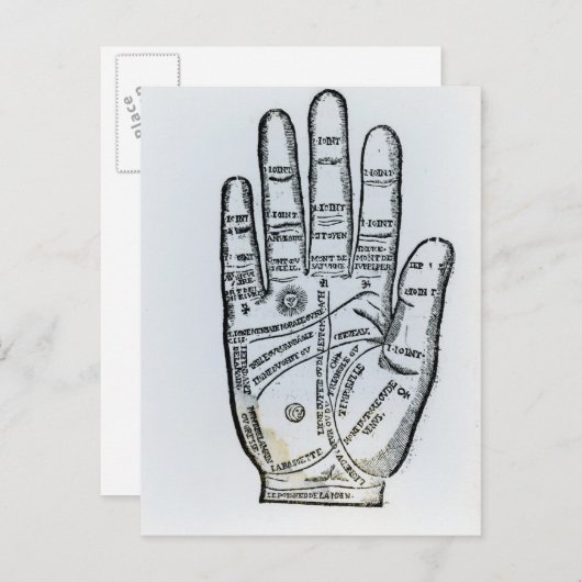 Palmitie Postkarte (Vorne/Hinten)