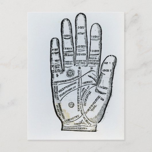 Palmitie Postkarte (Vorderseite)