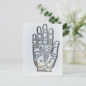 Palmitie Postkarte (Stehend Vorderseite)