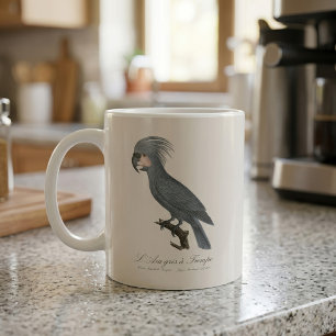 Palmkakadu, Probosciger aterrimus Kaffeetasse