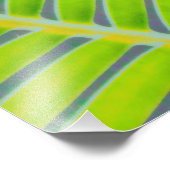 Palmmuster Fotodruck (Ecke)