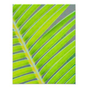 Palmmuster Fotodruck
