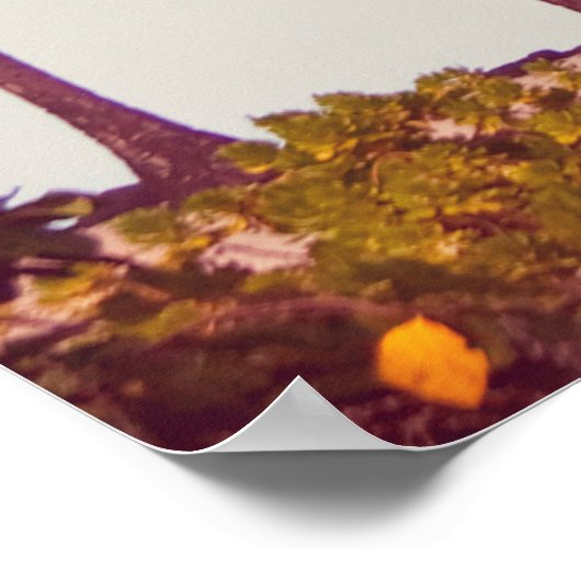 Palmplantage Poster (Ecke)