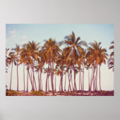 Palmplantage Poster (Vorne)
