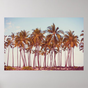 Palmplantage Poster