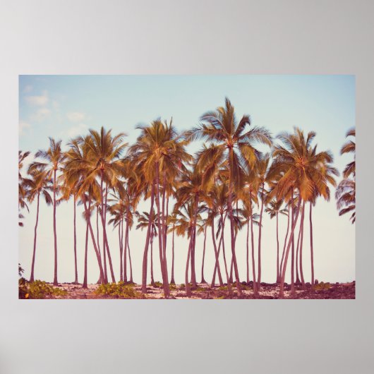 Palmplantage Poster (Vorne)