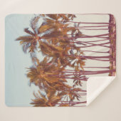 Palmplantage Sherpadecke (Vorderseite (Horizontal))