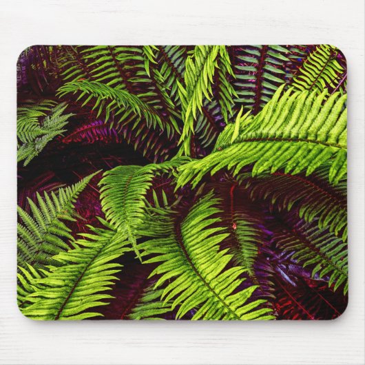 Palms 2 Mousepad (Vorne)