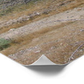 PalmSprings (26) Poster (Ecke)