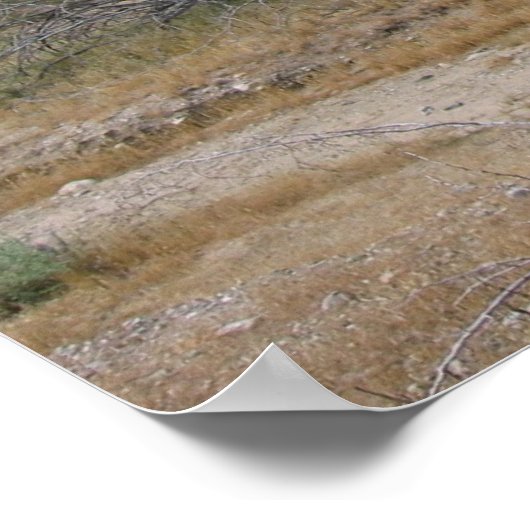 PalmSprings (26) Poster (Ecke)