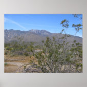 PalmSprings (26) Poster (Vorne)