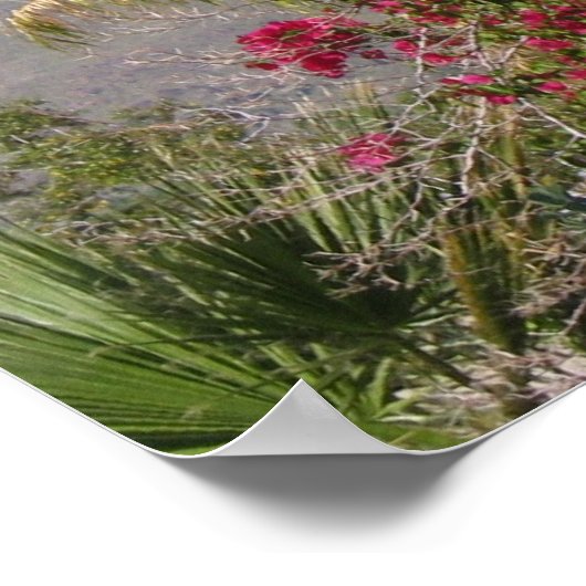 PalmSprings (4) Poster (Ecke)