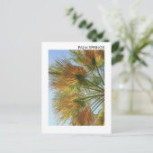 Palmsprings Palmen und Palmfronten Postkarte (Stehend Vorderseite)