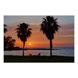 Palmtree sunset  poster