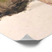 Palmy Beach Poster (Ecke)