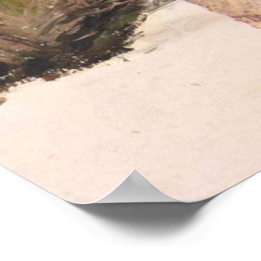 Palmy Beach Poster (Ecke)