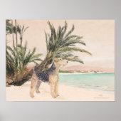 Palmy Beach Poster (Vorne)