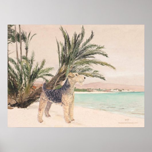 Palmy Beach Poster (Vorne)