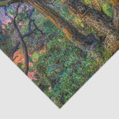 Palo Verde Baum Seidenpapier (Ausschnitt)