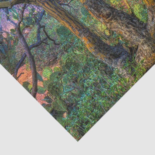 Palo Verde Baum Seidenpapier (Ausschnitt)