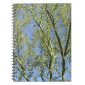 Palo Verde Bäume Notizblock (Vorderseite)