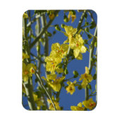 Palo Verde Blooms Magnet (Vertikal)