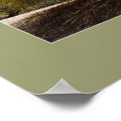 Palo Verde Tree Print Poster (Ecke)