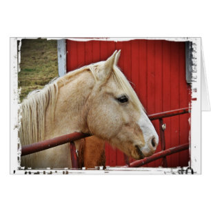 Palomino