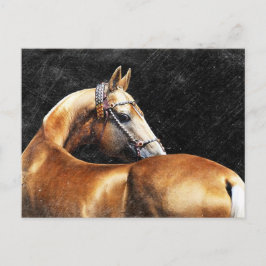 Palomino Akhal-Teke-Hengst Postkarte