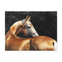 Palomino Akhal-Teke-Hengst